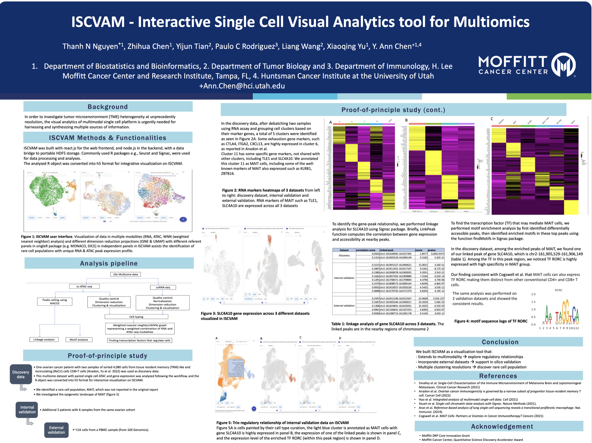ISCVAM screenshot